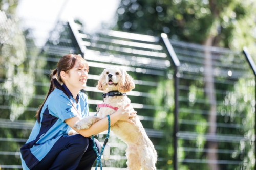 医療スポーツ学科　動物医療コース