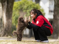 ペットケア＆トレーニングコース