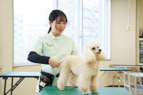 安い 仙台総合ペット専門学校 パンフレット