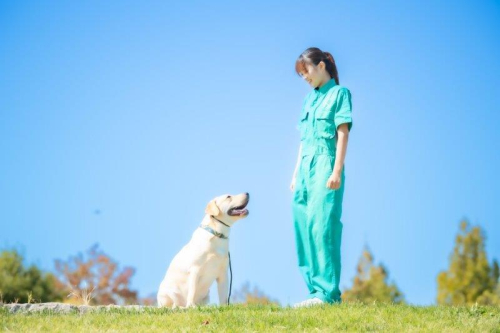 家庭犬訓練学科