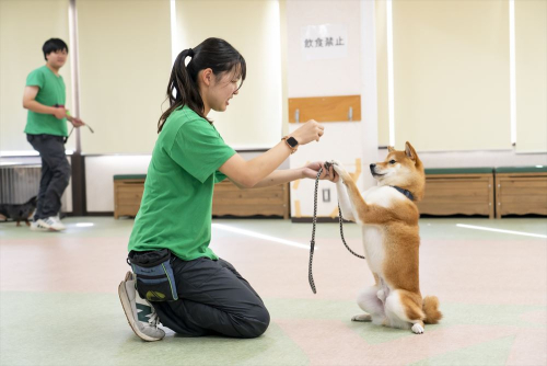 yic京都ペット総合専門学校 電話番号 人気