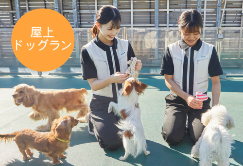 カコトリミングスクール（学校TOP）｜さんぽう進学ネット|大学・短期大学・専門学校の進路情報一覧