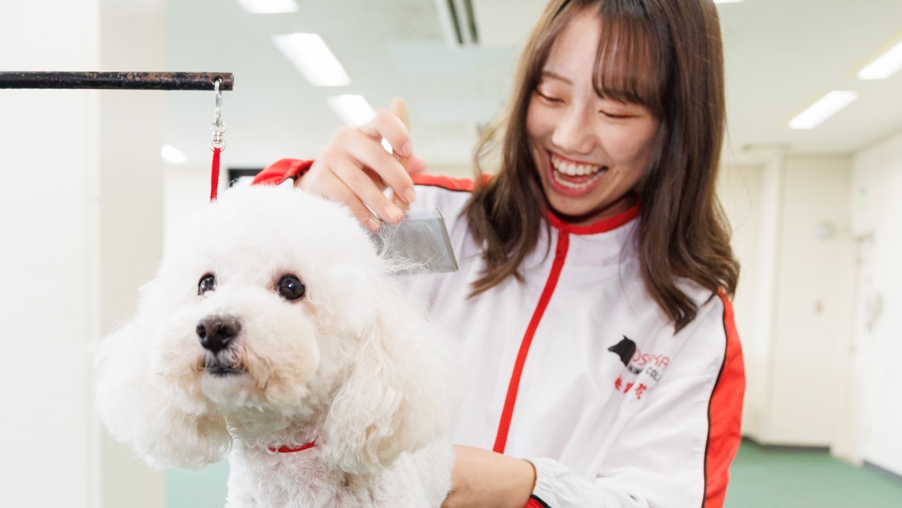 名古屋動物専門学校