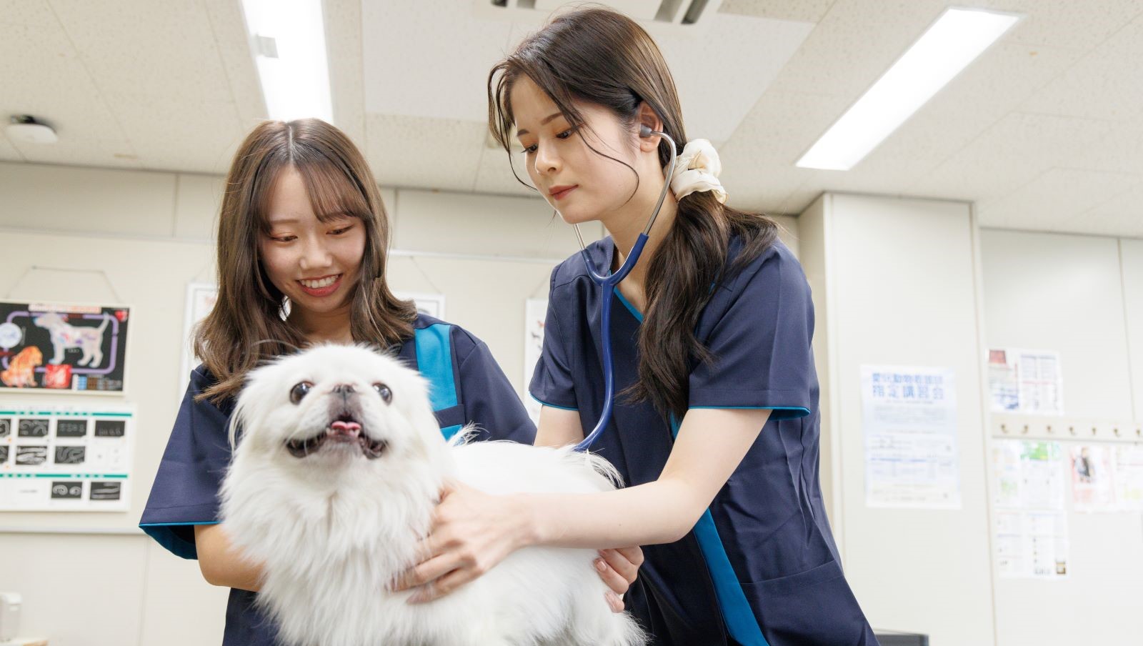 大阪動物専門学校／大阪動物専門学校天王寺校